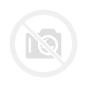 Dovo 136813315 Facharbeit 6/8in Straight Razo